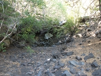 rrente Quarantore-20110911 019